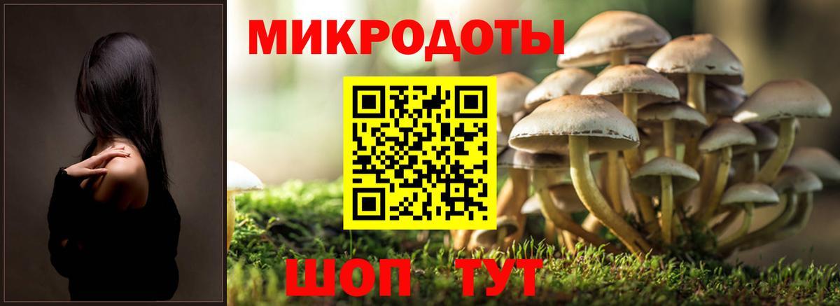 Большой Камень  Галлюциногенные грибы ЛСД  Галлюциногенные грибы мухоморы  Вход с VPN 